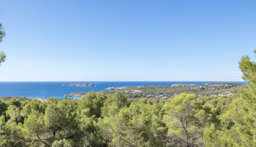 Resa Estates Ivy Cala Tarida Ibiza  luxe woning villa for rent te huur house sea views.png